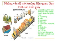 Lịch sử sản xuất giấy