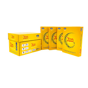 Giấy thùng VIVA 70 vàng